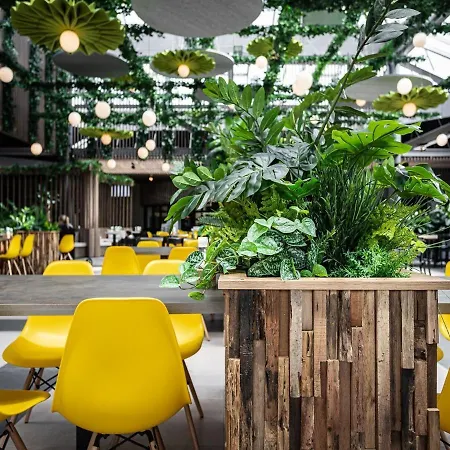 With Med Children's In Limburg فيلة